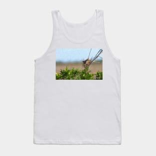 Dainty Bird Nest Tank Top